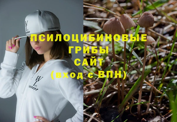 трава Аркадак