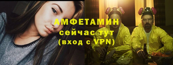 трава Аркадак