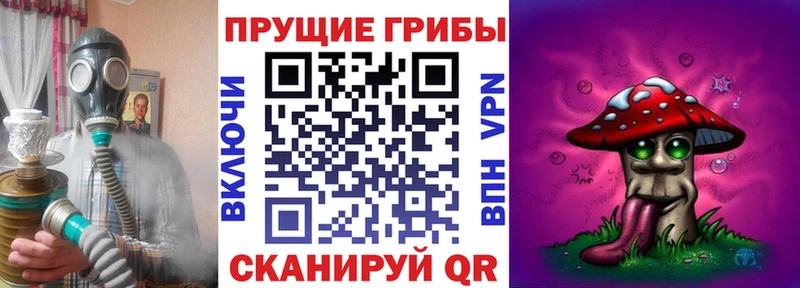 купить  сайты  Мыски  Псилоцибиновые грибы мицелий 